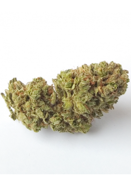 Green Crack - CBD 13% - Indoor, Cannabis Light