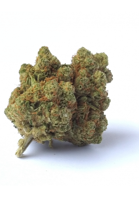 Amnesia Hy-Pro - CBD - Indoor Premium, Cannabis Light