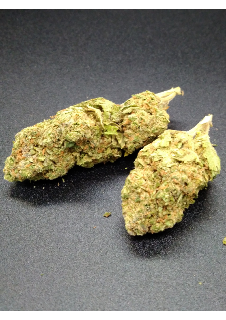 Orange Gelato - CBD 20% - Indoor Premium, Cannabis Light