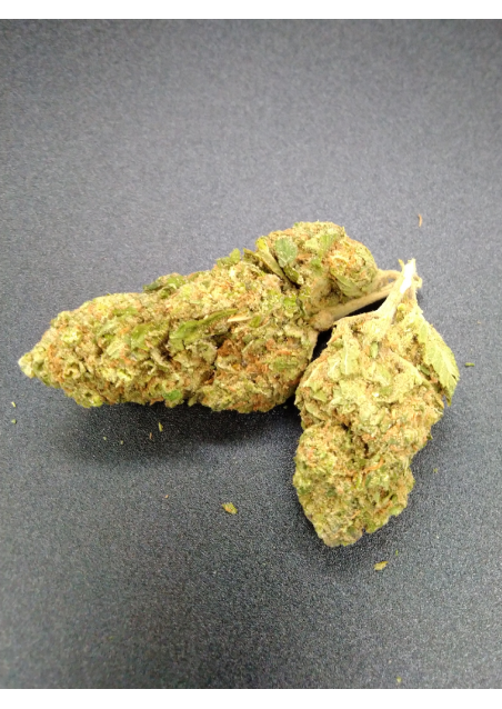 Orange Gelato - CBD 20% - Indoor Premium, Cannabis Light