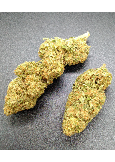 Tangie - CBD 20% - Green House Premium, Cannabis Light