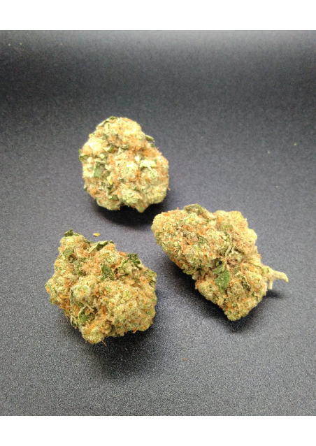 Tropical Dream CBD - Indoor Premium, Cannabis Light