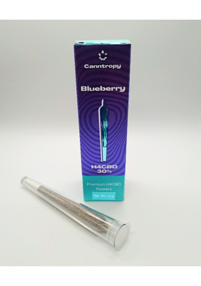 H4 Pre Roll Blueberry, 1.8g - 30% H4CBD, Pre rolled cone - Canntropy
