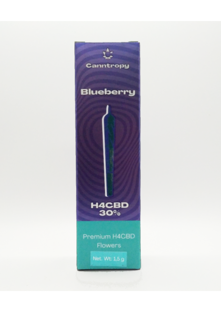 H4 Pre Roll Blueberry, 1.8g - 30% H4CBD, Cono pre rollato - Canntropy