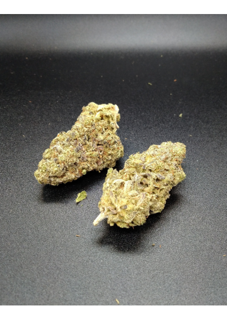B2B - Gorilla Glue CBD - Indoor Premium, Cannabis Light