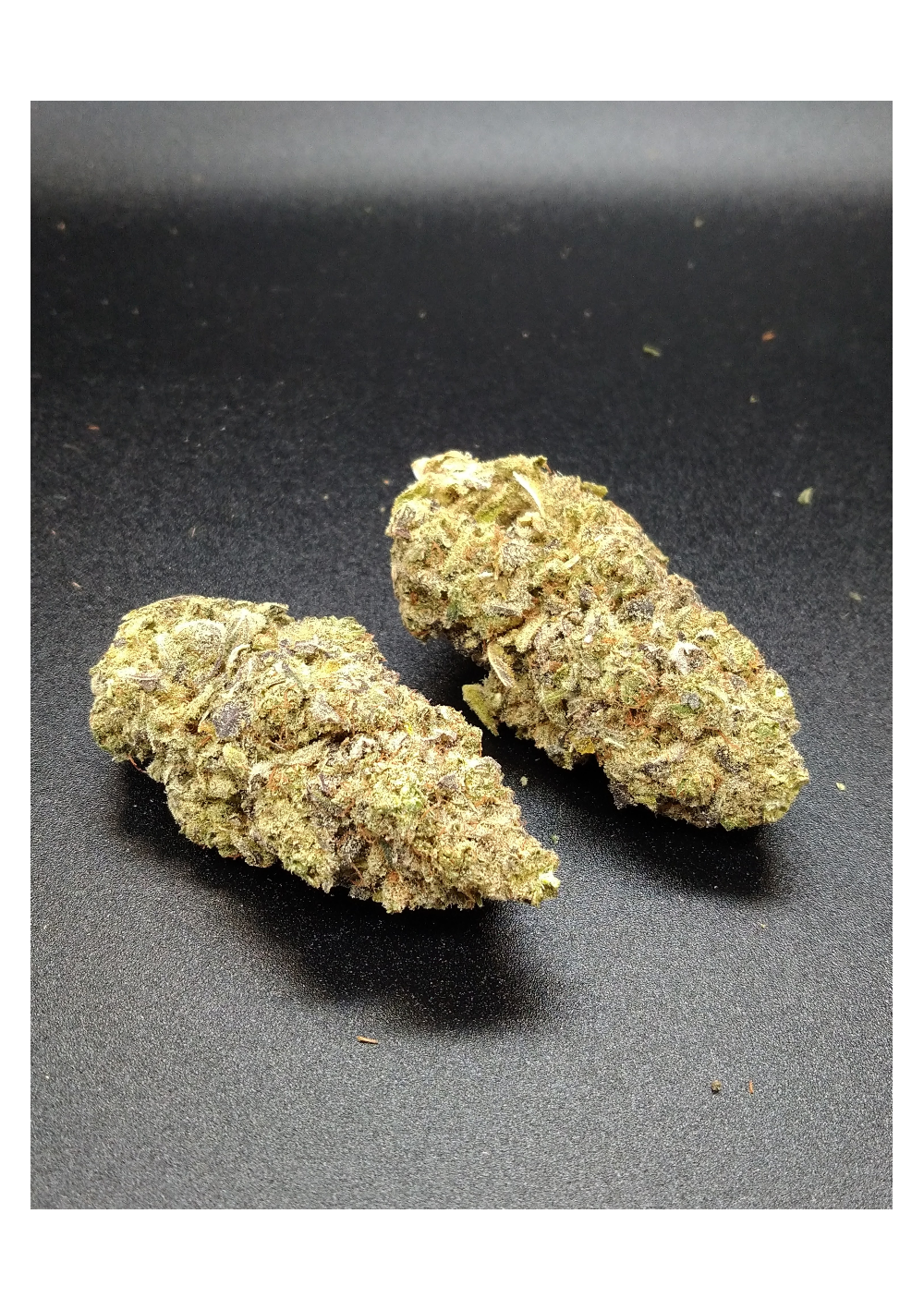 B2B - Gorilla Glue CBD - Indoor Premium, Cannabis Light