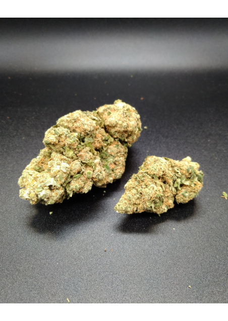 B2B - Bubblegum CBD - Indoor Premium, Cannabis Light
