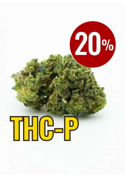 THC-P Silver Surfer 20% THCP - Cime Piccole - Cannabis Indoor
